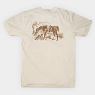 Horse & Hounds Hunting Scene Vintage Illustration T-Shirt